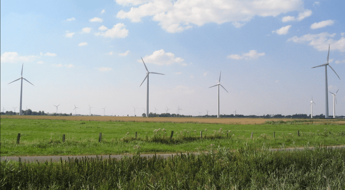 Dr Tomasz Wójcik o odnawialnych źródłach energii: potrzebna jest publiczna debata polityków